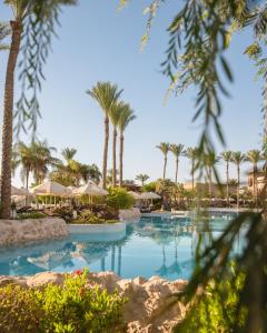 een zwembad met palmbomen en parasols bij The Makadi Spa Hotel - Couples Only 18 Years Plus in Hurghada