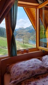 PopovićiにあるTarska čarolija Zaovineの湖の景色を望む窓付きのベッドルーム1室