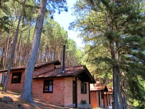 a small brick house in the middle of trees at Pousada Parque da Cachoeira in São Francisco de Paula