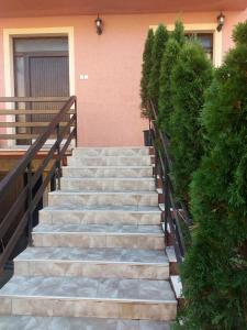 un conjunto de escaleras frente a un edificio en Quattro apartment en Zaječar