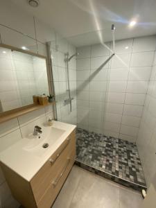 een badkamer met een wastafel en een spiegel bij Superbe Duplex Strasbourg in Schiltigheim