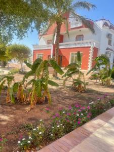 een huis met een palmboom en bloemen ervoor bij Moubark 6 Villa 6 in Hurghada