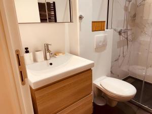 La salle de bains est pourvue d'un lavabo, de toilettes et d'une douche. dans l'établissement Camus Flats, à Bruxelles