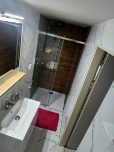 a bathroom with a shower and a sink and a shower at Apartmány Liška in Mladé Buky