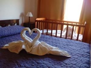 Dos cisnes haciendo un corazón en una cama en Complejo los Espinillos de Merlo en Merlo