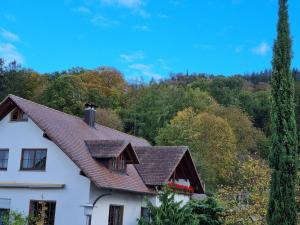 ein weißes Haus mit braunem Dach in der Unterkunft Ferienwohnung Waldblick in Heiligenzell