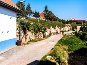 Fotografia z galérie ubytovania Levandulová chalupa v destinácii Vrbice