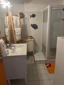 La salle de bains est pourvue d'un lavabo et d'une douche. dans l'établissement Le Neem, à Saint-François