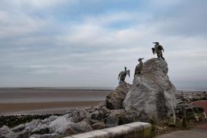 a group of birds perched on a rock near the beach at Midland Hotel in Morecambe