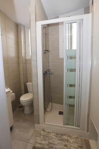 ein Bad mit einer Dusche und einem WC in der Unterkunft La casita de Valvanera in Madrid