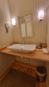 a bathroom with a white sink and a mirror at Herrgård in Jörn