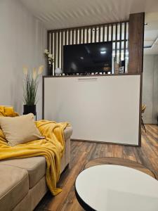 TV a/nebo společenská místnost v ubytování Dajoda Lux