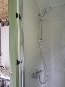 La salle de bains est pourvue d'une douche avec un pommeau de douche. dans l'établissement Braeside Shepherd's Hut - Greenhead - Hadrian's Wall - Northumberland, à Greenhead