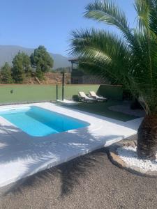 Πισίνα στο ή κοντά στο Apartamento Kiril