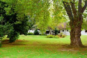 a house in a yard with a tree at Kings Lodge Hotel in Hogsback