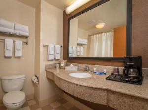 a bathroom with a sink and a toilet and a mirror at Fairfield Inn & Suites by Marriott Williamsburg in Williamsburg