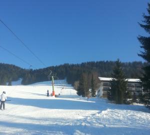 Ferienpark Oberallgäu - Invest Freizeit saat musim dingin