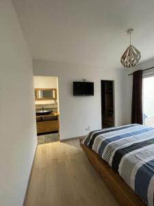 1 dormitorio con 1 cama y TV en la pared en Un cocon au cœur du village, en Saintes-Maries-de-la-Mer