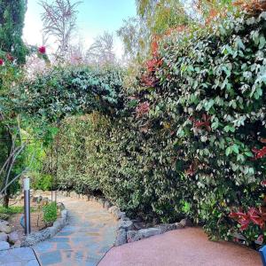 een grote groene heg met een loopbrug bij Casa Marcelli 4 in Porto-Vecchio +1 foto