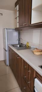 a kitchen with a sink and a refrigerator at Departamento 2d1b Puerto Varas in Puerto Varas +2 photos