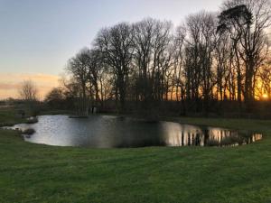 a pond in a field with the sunset in the background at Riverwood Lodges in Lechlade