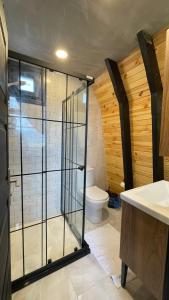 a bathroom with a glass shower and a toilet at Irmak Vadi Bungalov Zonguldak 