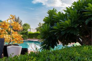 Bassein majutusasutuses Vesta Avtar Resort Pushkar või selle lähedal