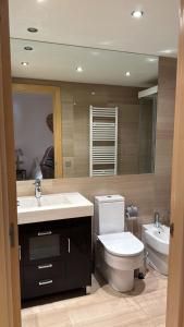 uma casa de banho com um WC, um lavatório e um espelho. em Appartement au coeur d'Ordino HUT7872 em Ordino
