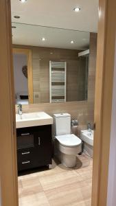 W łazience znajduje się toaleta, umywalka i lustro. w obiekcie Appartement au coeur d'Ordino w mieście Ordino
