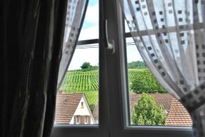Zahrada ubytování Landgasthof Rebstock Weil am Rhein / Basel