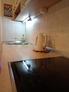 ベオグラードにあるTwo Rivers Apartmentのキッチン(トースター、カウンター付)