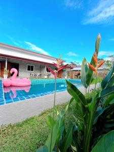 PP Pool Villa Maesalong Chiangrai内部或周边的泳池