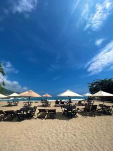 eine Gruppe von Stühlen und Sonnenschirmen am Strand in der Unterkunft Hotel talú tayrona in El Zaino