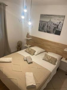 - une chambre avec un grand lit et 2 oreillers dans l'établissement Appartement proche gare TGV, à Nîmes