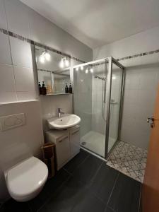a bathroom with a shower and a toilet and a sink at Appartement Les Salines in Roche