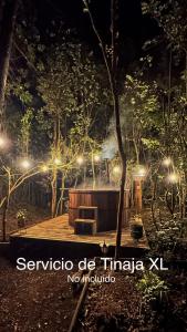 park w nocy z ławką i światłami w obiekcie Molco Cabins Loft w mieście Pucón