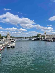 a river with boats docked next to a bridge at Appartement Quartier Tour Eiffel in Paris