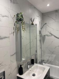a bathroom with a sink and a mirror and a plant at Hemel Apartments- Tranquil Haven in Hemel Hempstead