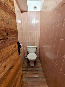 a bathroom with a toilet and pink tile walls at Superbe appartement au pied des pistes -Le chamois in Les Déserts