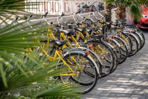 una fila di biciclette gialle parcheggiate l'una accanto all'altra di Hotel Atenea Golden Star a Caorle