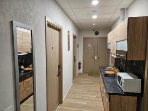 Kuchyň nebo kuchyňský kout v ubytování Kauno apartamentai