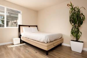Lovely Studio in Mid-City near Koreatown