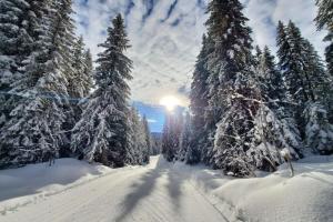 a snow covered road with snow covered trees and the sun at Cozy apartment "WAPITI" at the foot of the slopes in Les Déserts