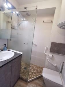 een badkamer met een douche, een toilet en een wastafel bij Cozy apartment "WAPITI" at the foot of the slopes in Les Déserts