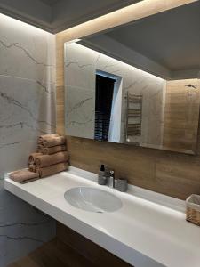 een badkamer met een wastafel en een grote spiegel bij Park-Hotel Tihiy Les in Prokhorovka