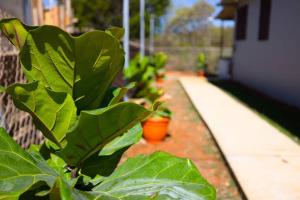 Jardín al aire libre en Catania 2 Suite W/private pool,W/heater , WIFI.