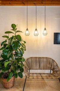 a chair and a plant in a room with lights at Alto house edificio completo in Granada