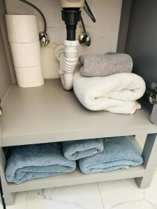 a bathroom shelf with towels and a light and a lamp at Cozy Bedroom Suite, Private Bath in Matthews