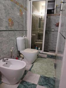 een badkamer met een toilet, een wastafel en een douche bij Résidence Lennards 2 in Grand Baie