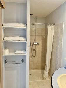 La salle de bains est pourvue d'une douche et d'un rideau de douche. dans l'établissement Le Keréden - Breizh Ecolodge Hôtel, à Locarn